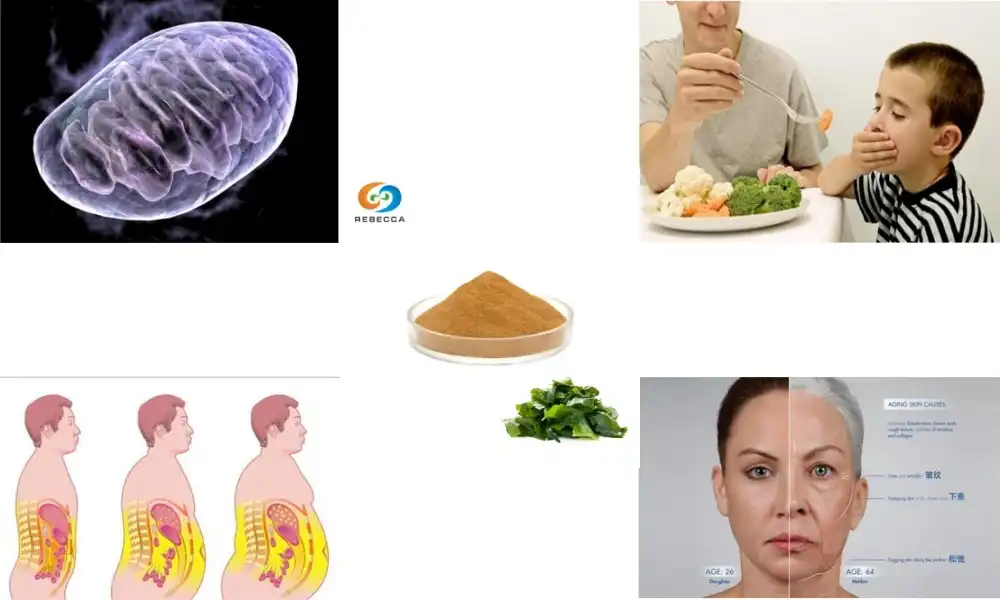 What are the health benefits of fucoxanthin supplements?